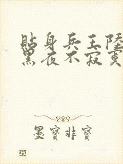 贴身兵王陆天龙黑夜不寂寞