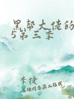 黑帮大佬的365第三季