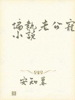 偏执老公宠上瘾小说