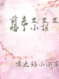 前夫又又又想复婚了小说