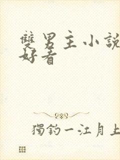 双男主小说冷门好看