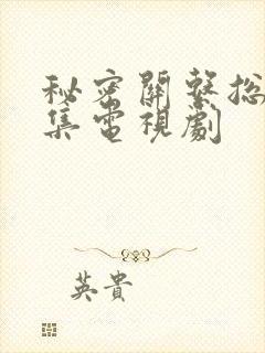 秘密关系总共几集电视剧