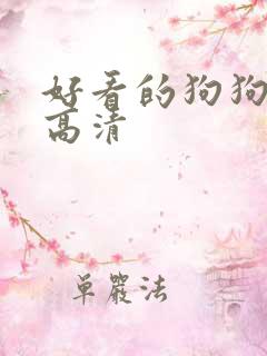 好看的狗狗壁纸高清