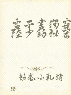 电子书独宠旧爱陆少的秘密恋人