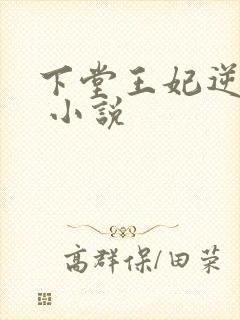下堂王妃逆袭记 小说