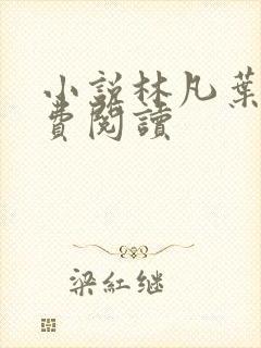 小说林凡叶惜免费阅读