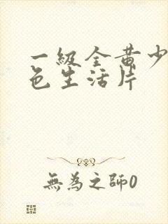 一级全黄少妇泄色生活片