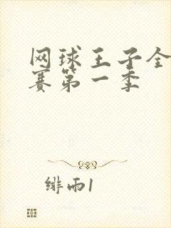 网球王子全国大赛第一季