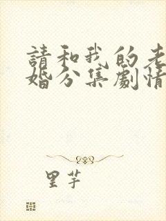 请和我的老公结婚分集剧情