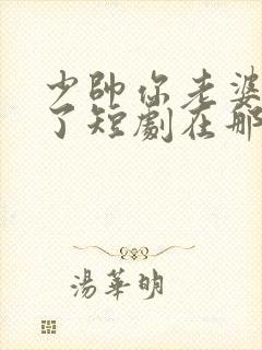 少帅你老婆又跑了短剧在那看