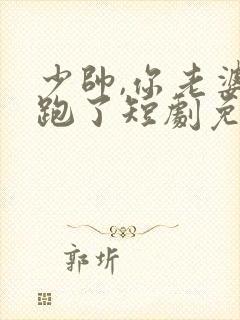 少帅,你老婆又跑了短剧免费大结局