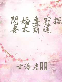 闪婚专宠总裁爱妻太霸道