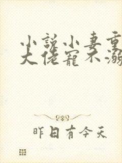 小说小妻重生:大佬宠不溺