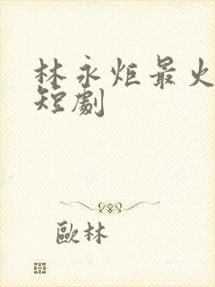 林永炬最火十部短剧