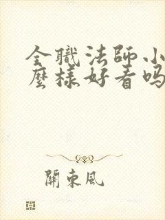 全职法师小说怎么样好看吗