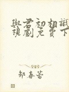 与君初相识 电视剧免费下载