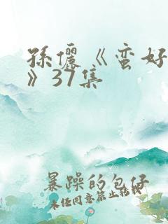 孙俪《蛮好人生》37集