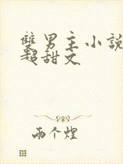 双男主小说推荐超甜文