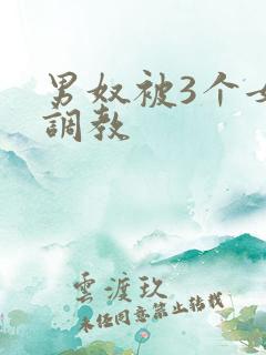 男奴被3个女王调教