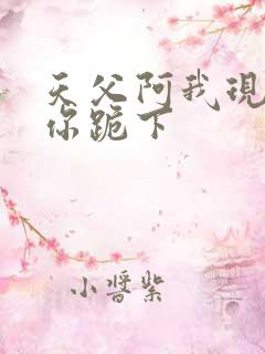 天父阿我现在向你跪下