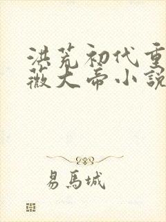 洪荒初代重生紫薇大帝小说