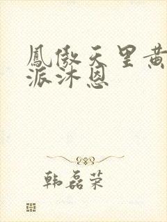 凤傲天里黄毛反派沐恩