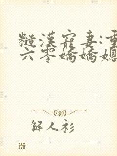 糙汉宠妻:重生六零娇娇媳小说