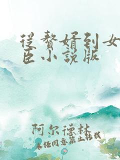 从赘婿到女帝宠臣小说版