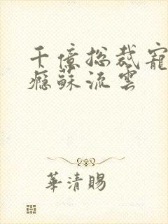 千亿总裁宠妻上瘾苏流云