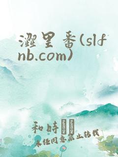 涩里番(slfnb.com)