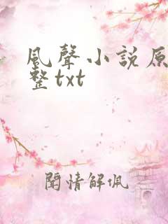 风声小说原著完整txt