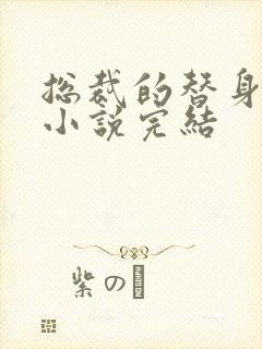 总裁的替身前妻小说完结