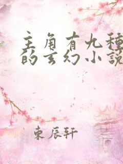 主角有九种元素的玄幻小说