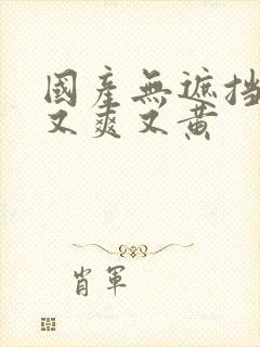 国产无遮挡又大又爽又黄