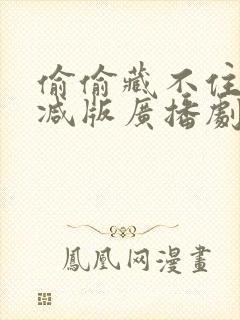 偷偷藏不住未删减版广播剧