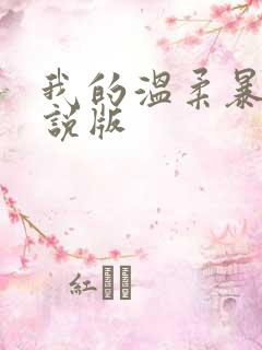 我的温柔暴君小说版