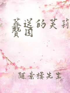 葬送的芙莉莲 赞因