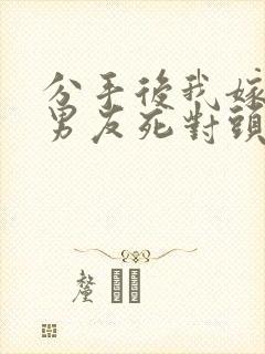 分手后我嫁给前男友死对头沈淮全文