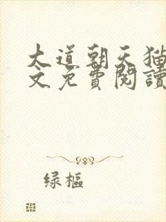 大道朝天猫腻全文免费阅读