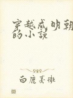 穿越成明朝崇祯的小说