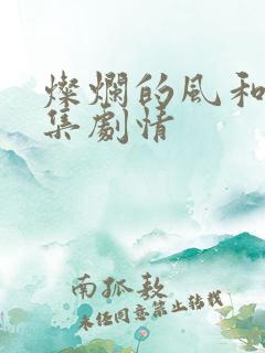 灿烂的风和海分集剧情