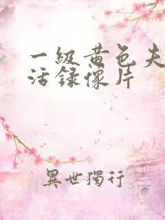 一级黄色夫妻生活录像片