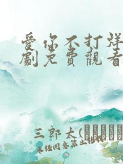 爱你不打烊电视剧免费观看