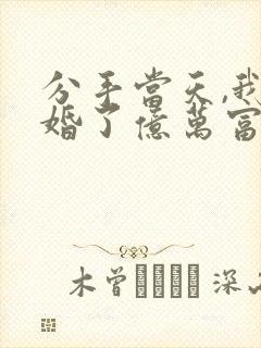 分手当天,我闪婚了亿万富豪完结