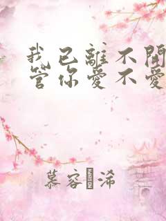 我已离不开你不管你爱不爱我歌词