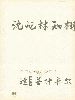 沈屹林知栩番外