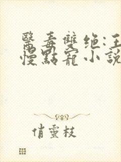 医毒双绝:王爷慢点宠小说