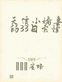 天价小娇妻总裁的33日索情