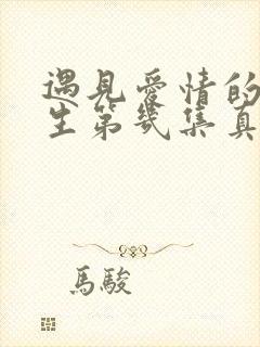 遇见爱情的利先生第几集真相大白