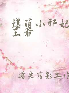 爆萌小邪妃腹黑王爷